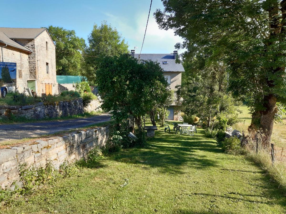 Montredon  Au Domaine Des Oiseaux Bed & Breakfast エクステリア 写真